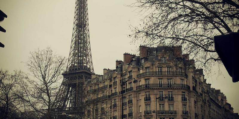 青岛仿日式枯山水庭院设计：本地材料应用与植物养护全攻略