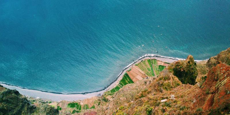 青岛冬季庭院植物防寒全攻略：专业绿化服务守护您的园艺成果