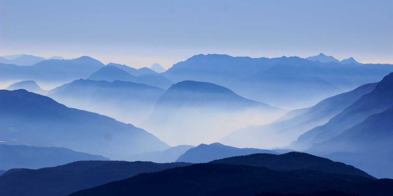 青岛园林绿化指南：本地花卉苗木批发市场地址与专业采购技巧