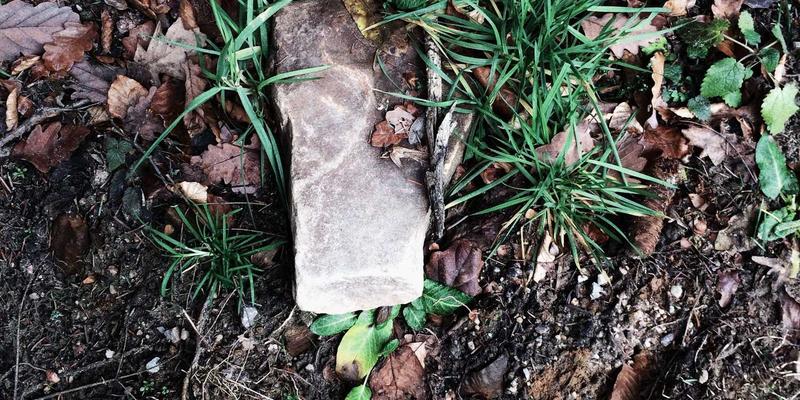 青岛园艺爱好者必看：从社群融入到工具选购的完整指南