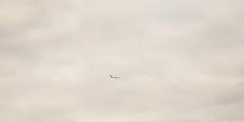 青岛夏季暴雨后花园排涝与植物急救全攻略：园林绿化养护的关键一步