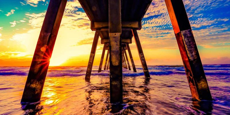 青岛夏季花园设计指南：精选耐热开花植物与专业绿化服务养护要点