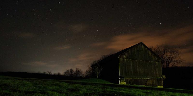 青岛家庭阳台蔬菜种植指南：从园林绿化到植物养护的实用技巧与品种推荐