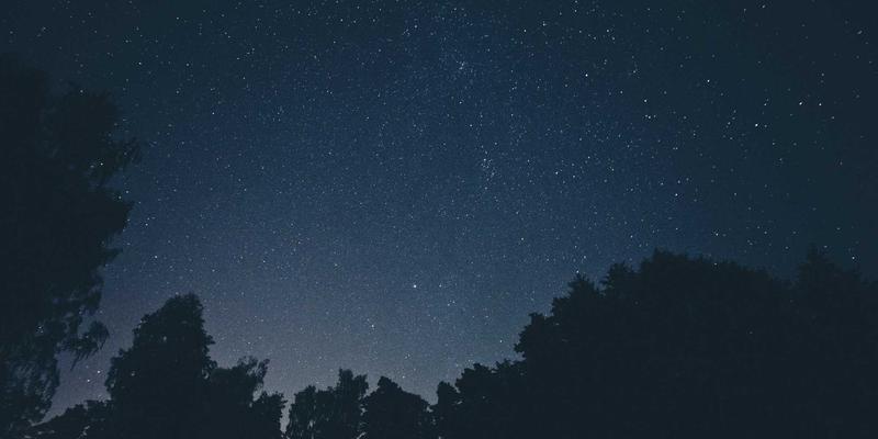 青岛私家花园低成本可持续养护：全年月度计划与园艺工具指南