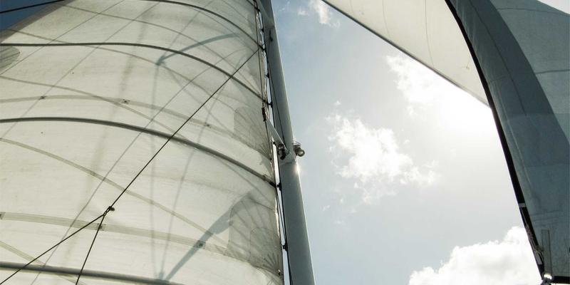 青岛私家花园本土野花草地生态建植与管理：从园艺工具到植物养护的完整指南