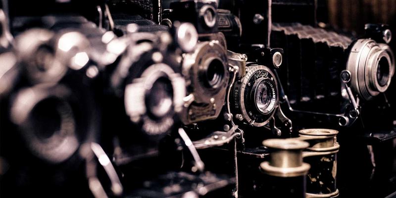 青岛花园设计必修课：绣球花调色原理与土壤pH值控制实践